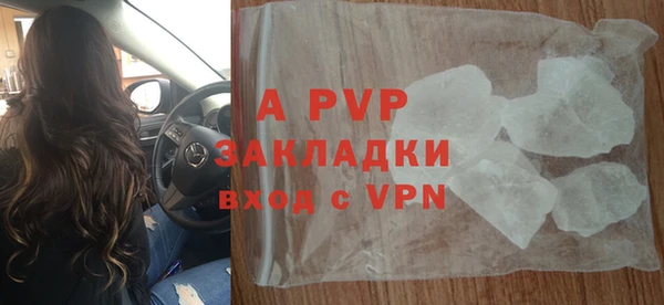 шишки Бородино