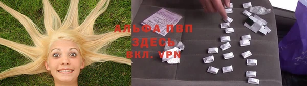 шишки Бородино