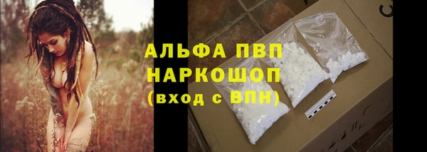 шишки Бородино