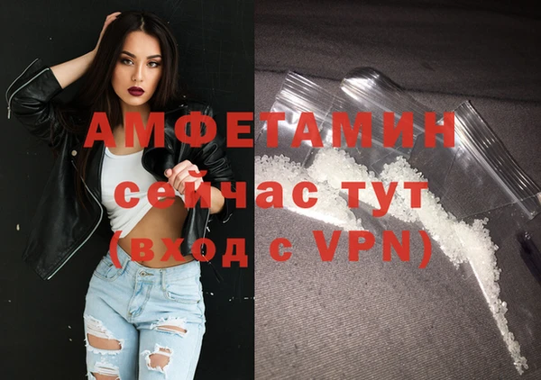 шишки Бородино