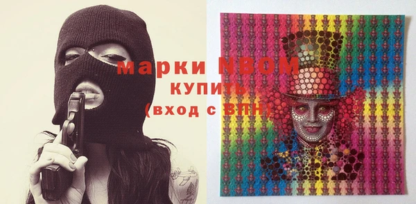 шишки Бородино