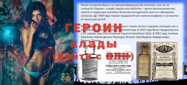шишки Бородино