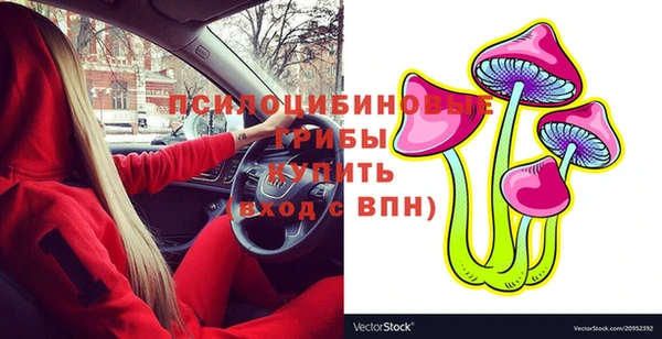 шишки Бородино