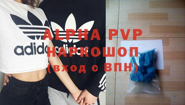 шишки Бородино