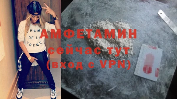 шишки Бородино