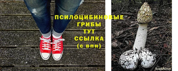 шишки Бородино