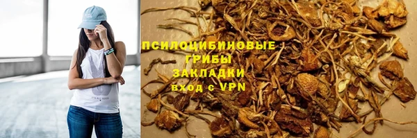 шишки Бородино