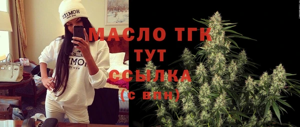 шишки Бородино