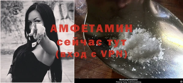 шишки Бородино